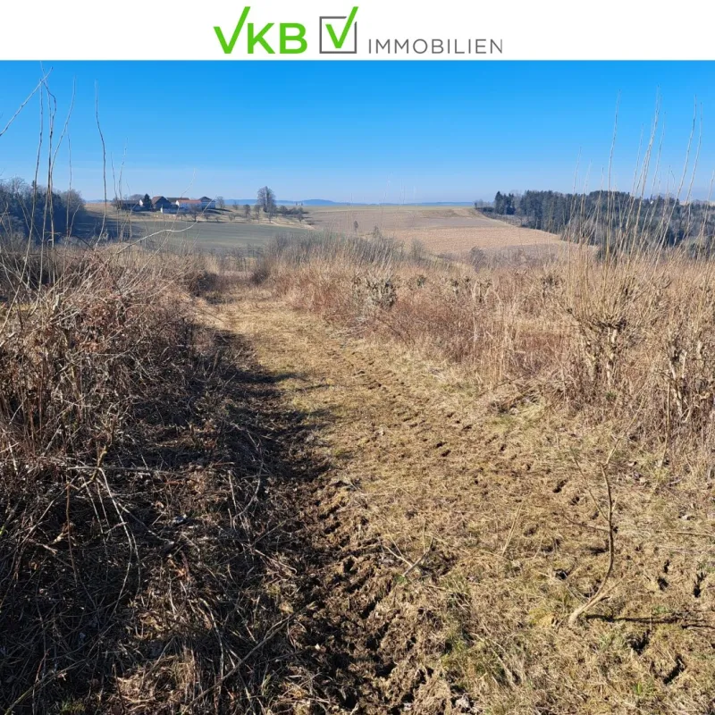 Exklusives Weinbaugrundstück, Südhang in sonniger Lage! - Bild 1