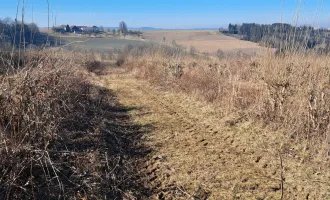 Exklusives Weinbaugrundstück, Südhang in sonniger Lage!