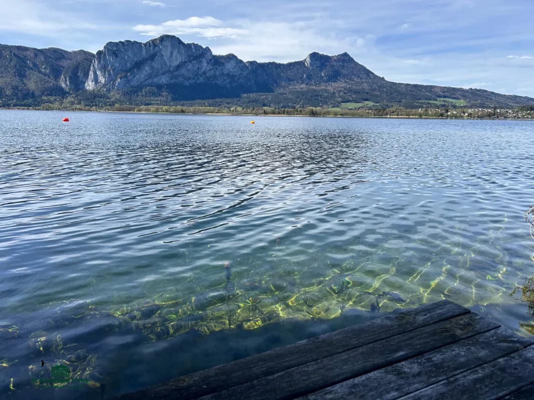 Baugrundstück mit privatem Seezugang am Mondsee - Bild 1