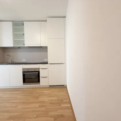 Große Fenster | Fußbodenheizung | Tischler Möbel - Bild 3