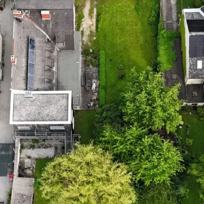 Traumhaftes Einfamilienhaus in Badener Bestlage: 1.977m² Grundstück, Natur-Badeteich, moderne Ausstattung - Bild 3