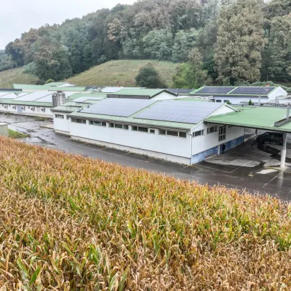 Hallenflächen teilbar bis ca. 2.800m² und Büroflächen ab 250m² bis zu 520m² zu vermieten, ab sofort - Bild 2