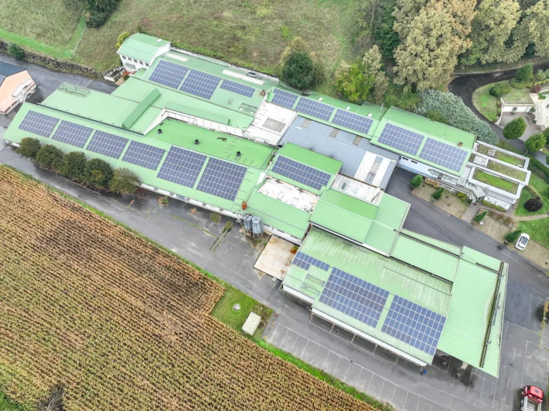 Hallenflächen teilbar bis ca. 2.800m² und Büroflächen ab 250m² bis zu 520m² zu vermieten, ab sofort - Bild 1