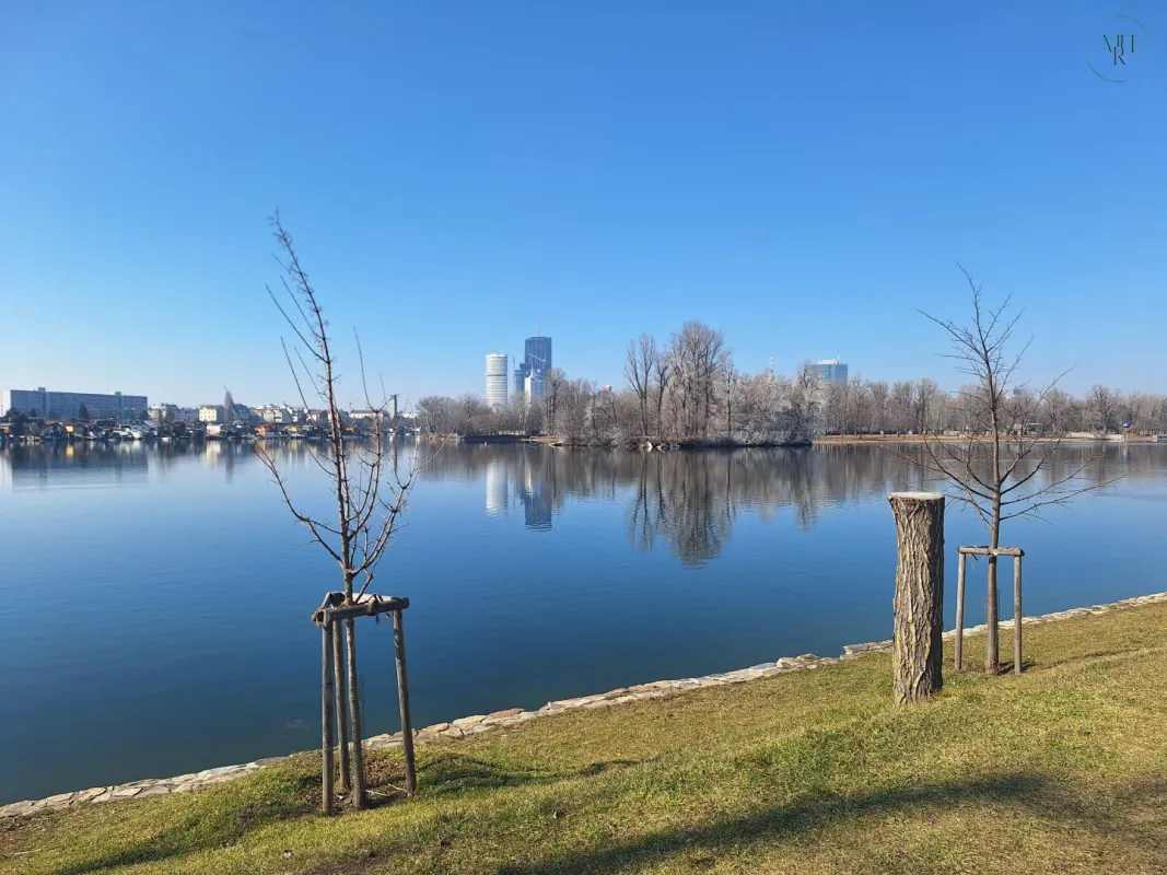 Wohnen am Wasser - Loftartiges Architektenhaus an der alten Donau - Bild 1