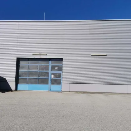 Ared Park - Lagerhalle mit ca. 298m² - H1 - Bild 2
