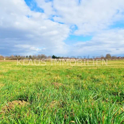 Wagram o.d.T. - ebenes Baugrundstück in Siedlungsrandlage - Bild 3