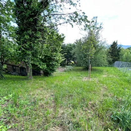 !!!PREISREDUZIERT!!! Traumgrundstück – einzigartige Lage – perfekter Ausblick   mit sehr sanierungsbedürftigen Altbestand! - Bild 2