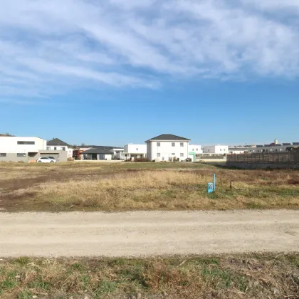 Traumhaftes Baugrundstück in Jois mit Fernblick - Bild 2