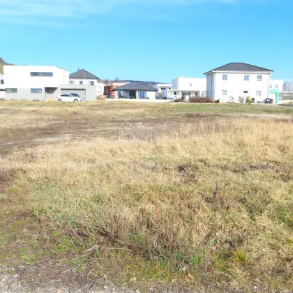 Traumhaftes Baugrundstück in Jois mit Fernblick - Bild 3