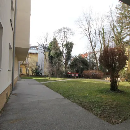Perfekt geschnittene Wohnung in Badener Ruhelage - Bild 3