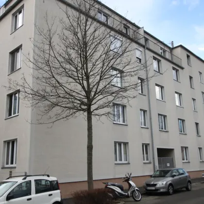 Perfekt geschnittene Wohnung in Badener Ruhelage - Bild 2