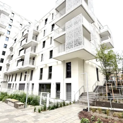 ERSTBEZUG auf Kundenwunsch - individuelles Geschäftslokal/Praxis/Büro - Fertigstellung Q3 2025 - Bild 2