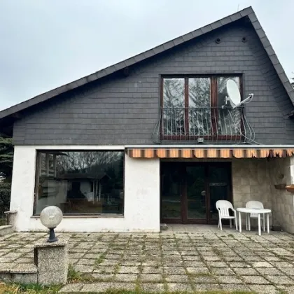 EINFAMILIENHAUS mit POOL und GARTEN auf 1000 m² Pachtgrund - Einmalige Gelegenheit - Bild 3