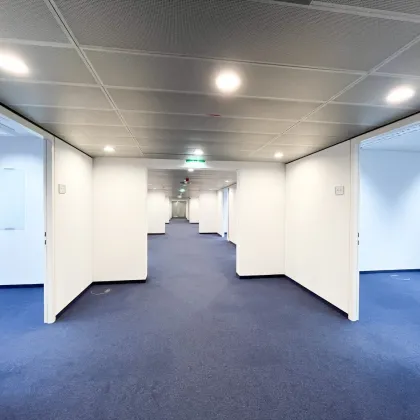 OC4 Modernes Büro in der Operngasse ca. 318 m2 - Nähe TU/Karlsplatz - Bild 3