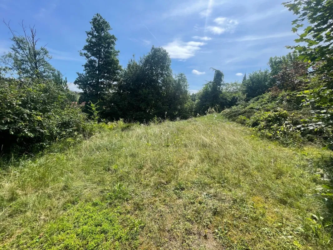 Schöner großer 1.176m² Baugrund in Wölfnitz - Hanglage - Bild 1