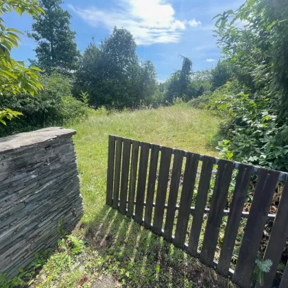 Schöner großer 1.176m² Baugrund in Wölfnitz - Hanglage - Bild 3