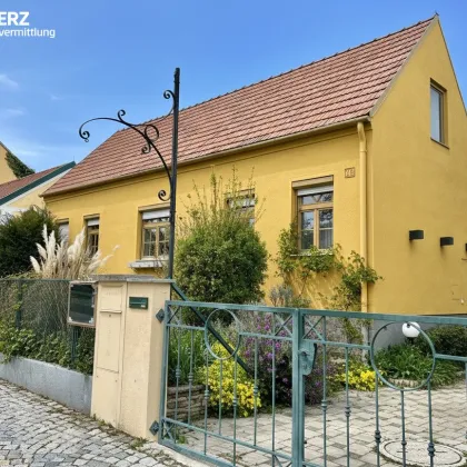 Wohnen und Heuriger vereint - Bild 2