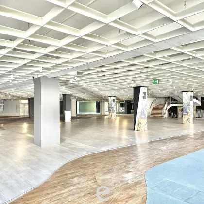 Attraktive und günstige Lagerflächen ab 500 m² zu mieten - Bild 3