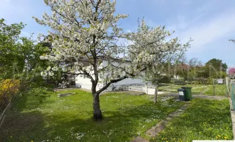 Baugrund mit Altbestand **perfekte Konfiguration**