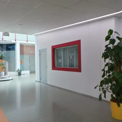 Repräsentativer Firmenstandort im Business-Park, moderne klimatisierte Ordinations-Praxis-Bürofläche, Parkplätze - Bild 3