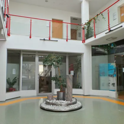 Repräsentativer Firmenstandort im Business-Park, moderne klimatisierte Ordinations-Praxis-Bürofläche, Parkplätze - Bild 2