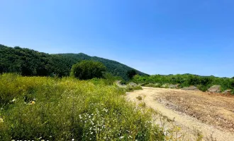 GEWERBEGRUNDSTÜCK! In Toplage Graz!