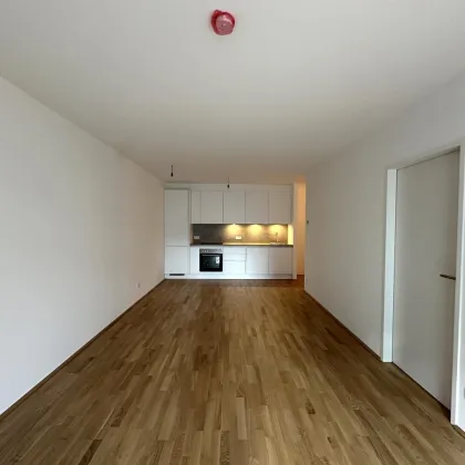 JETZT INVESTIEREN! *AMG 28* Südseitige 3-Zimmer Wohnung in ruhiger Lage inkl. Küche! Erstbezug & Provisionsfrei - Bild 2