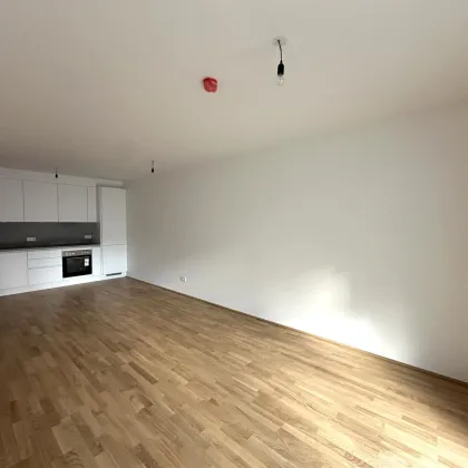 JETZT INVESTIEREN! Erstbezugstraum in ruhiger Lage - 3 Zimmer inkl. Küche und südseitigem Balkon - Bild 2