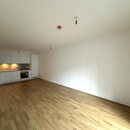 JETZT INVESTIEREN! *AMG 28* Südseitige 3-Zimmer Wohnung in ruhiger Lage inkl. Küche! Erstbezug & Provisionsfrei - Bild 2