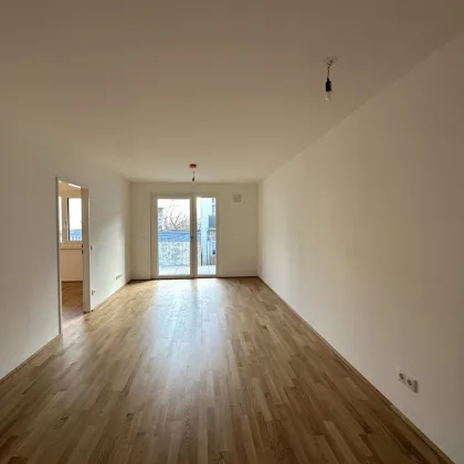 JETZT INVESTIEREN! Willkommen zu Hause! Tolle 3-Zimmer Wohnung mit südseitiger Freifläche - Erstbezug & Provisionsfrei! - Bild 3