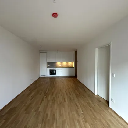 JETZT INVESTIEREN! Willkommen zu Hause! Tolle 3-Zimmer Wohnung mit südseitiger Freifläche - Erstbezug & Provisionsfrei! - Bild 2