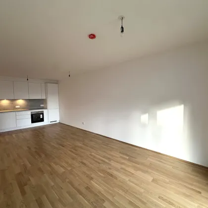 JETZT INVESTIEREN! Willkommen zu Hause! Wunderbares Neubauprojekt in ruhiger Lage - 3 Zimmer mit guter Raumaufteilung - Bild 2