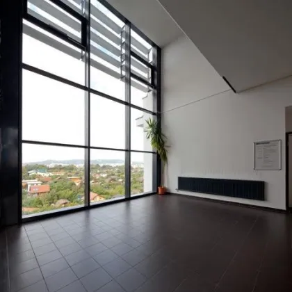 Bürohaus auf der Schmelz - Kleinbüro Top 20a - Bild 3