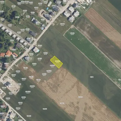 Baugrund in Siegersdorf: Ihr Traumhaus auf 776m² für 320.000 € wartet! - Bild 2