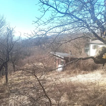 Sie suchen das Besondere - nur 5 Minuten von Wien entfernt?   Absolute Wald-Ruhelage mit unverbaubarer Aussicht und Blick in die umliegenden Wälder! - Bild 2