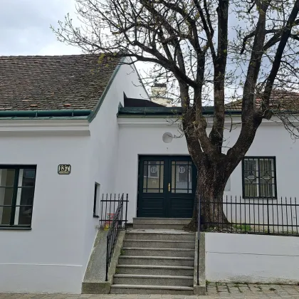 Exklusives Wohnen in Sievering – 3-Zimmer-Wohnung mit Terrasse - Bild 2