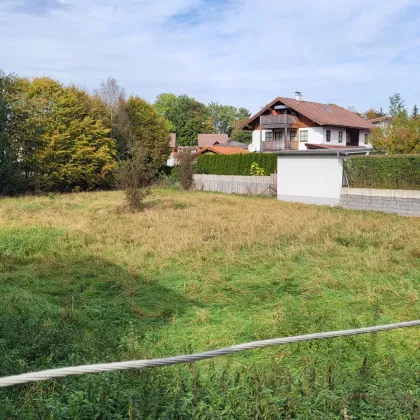 Naturnahes Grundstück, 1500 m2, Nähe Ohlsdorf, Laakirchen, Gmunden, Traunsee, ohne Bauzwang - Bild 3
