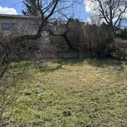 Top Lage - Familienfreundliches Grundstück in Brunn a. Gebirge  angrenzend zu Perchtoldsdorf ! - Bild 3