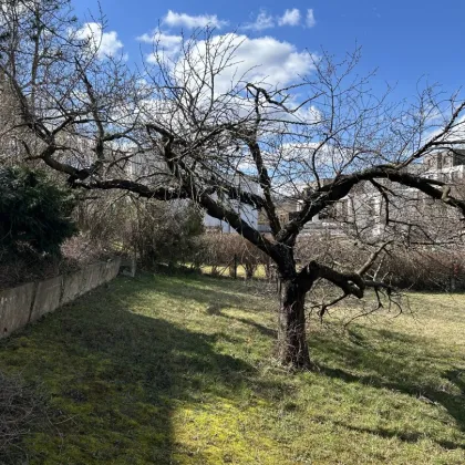 Top Lage - Familienfreundliches Grundstück in Brunn a. Gebirge  angrenzend zu Perchtoldsdorf ! - Bild 2