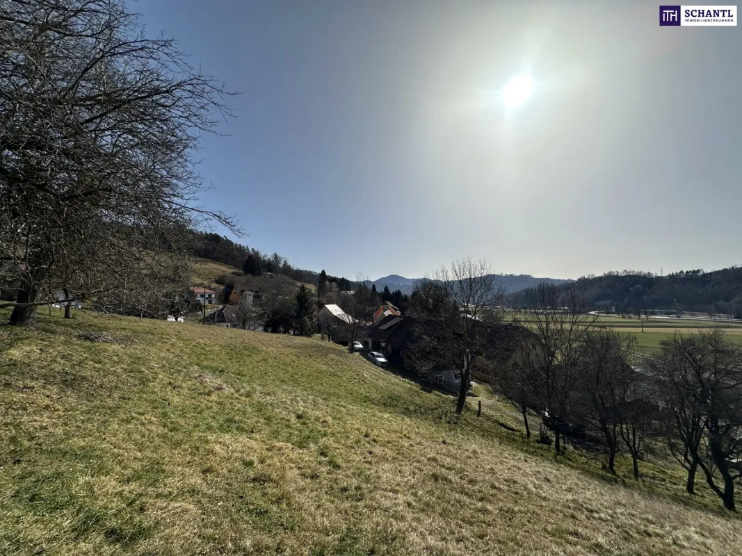 Einzigartiges Baugrundstück in Prenning bei Deutschfeistritz – 3.700 m², aufteilbar in 7 Parzellen - Bild 1