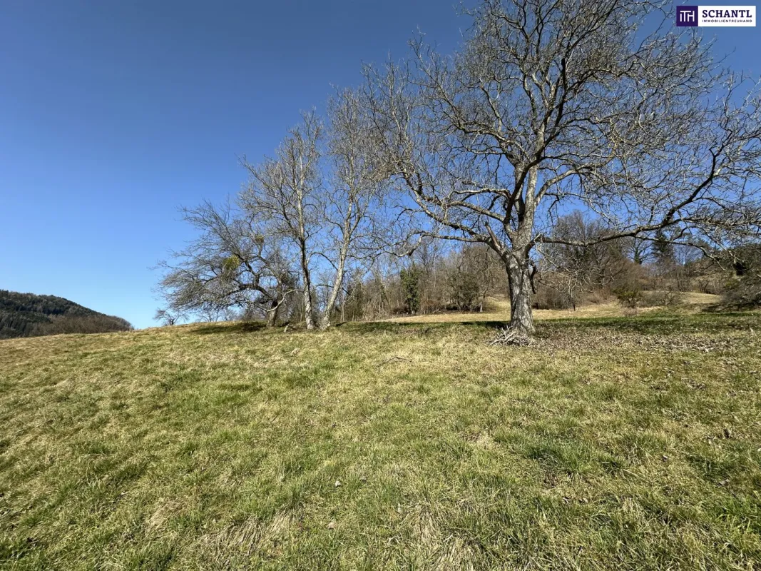 7 Parzellen verfügbar - Tolles Baugrundstück am Sonnenhang in Prenning bei Deutschfeistritz – 3.700 m², aufteilbar in 7 Parzellen - Bild 1