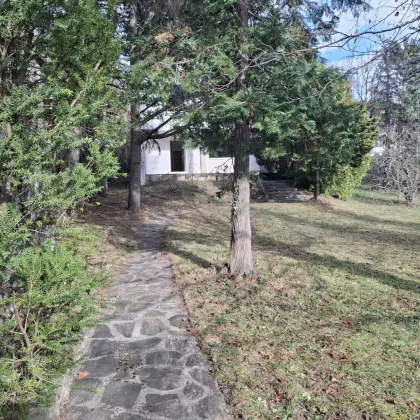 Exklusives Baugrundstück am Mitterberg – Ruhe, Natur und Lebensqualität - Bild 2