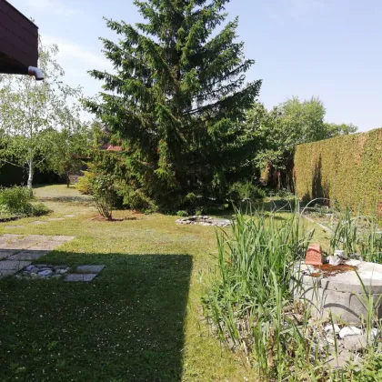 Sonnenschein den ganzen Tag - Bild 3