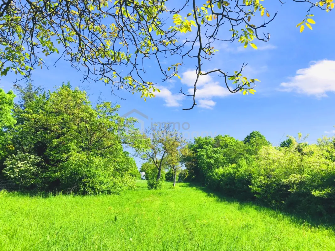 Baugrund 1 in Höhenlage am Naturschutzgebiet - Bild 1