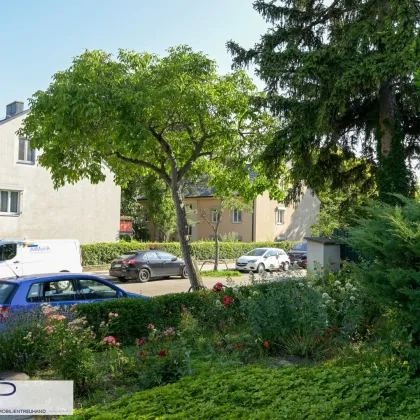 Verträumtes Winzerhaus mit weitläufigem, ruhigem Garten und Wienblick! - Bild 2