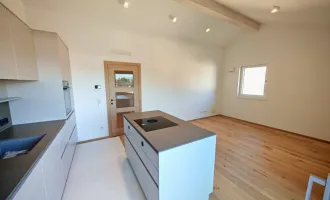 Exklusive 2-Zimmer-Neubauwohnung mit Dachterrasse + 2 KFZ-Parkplätzen