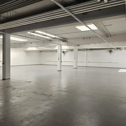 722m2 Halle - Concorde Business Park - Bild 2