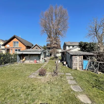 Erweiterbares 4 Zimmer Einfamilienhaus Nähe U2 Station Aspern Nord - Bild 3