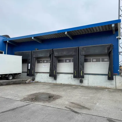 Vermietung einer Kaltlagerhalle nahe der A1 in Eggendorf im Traunkreis - Bild 2