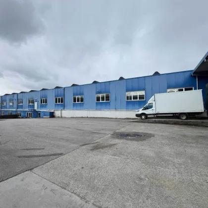 Vermietung einer Kaltlagerhalle nahe der A1 in Eggendorf im Traunkreis - Bild 3